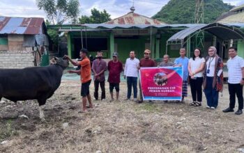 Sambut Idul Adha, Citimall Gorontalo Serahkan Hewan Kurban