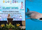 Wagub Idah Promosikan Hiu Paus Gorontalo di Forum KTNA 2026