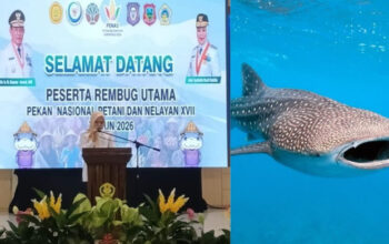 Wagub Idah Promosikan Hiu Paus Gorontalo di Forum KTNA 2026