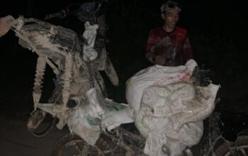 Aliansi Masyarakat Tomini: Aktivitas Batu Hitam Menjadi Penopang Ekonomi Warga