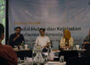 FWI Ungkap Hutan Alam Indonesia Menyusut, Deforestasi Naik 37 Persen