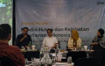 FWI Ungkap Hutan Alam Indonesia Menyusut, Deforestasi Naik 37 Persen