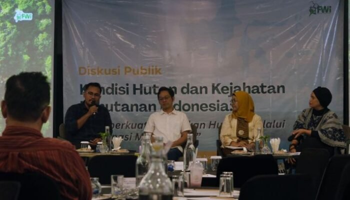 FWI Ungkap Hutan Alam Indonesia Menyusut, Deforestasi Naik 37 Persen